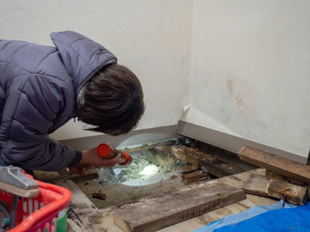 Best Mold Odor Removal Services  in Clarksburg, MD