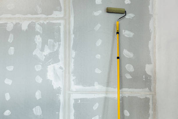 Best Attic Mold Removal  in Clarksburg, MD