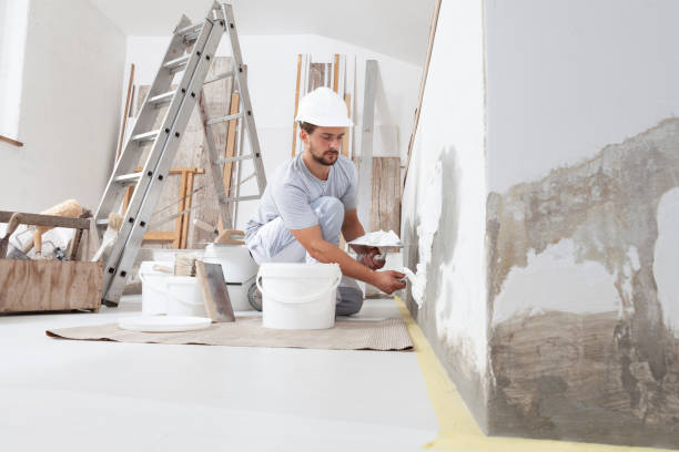 Best Real Estate Mold Inspection  in Clarksburg, MD