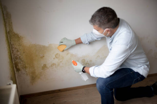 Best Water Damage & Mold Remediation  in Clarksburg, MD