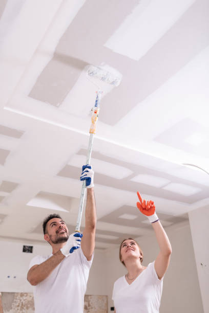 Best Asbestos and Lead Testing During Mold Inspection  in Clarksburg, MD