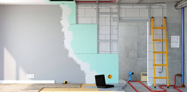 Best Biohazard Mold Removal  in Clarksburg, MD