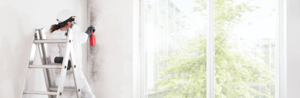 Best Mold Documentation for Insurance Claims  in Clarksburg, MD